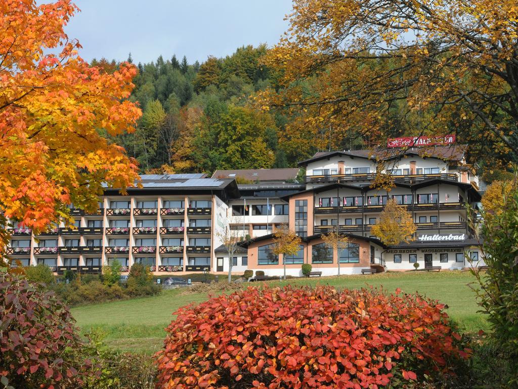 Wellness- Und Ferienhotel Waldesruh Bodenmais Εξωτερικό φωτογραφία